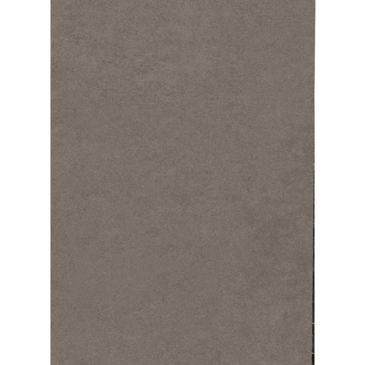 Kolossal Donkergrijs 60x120 cm 