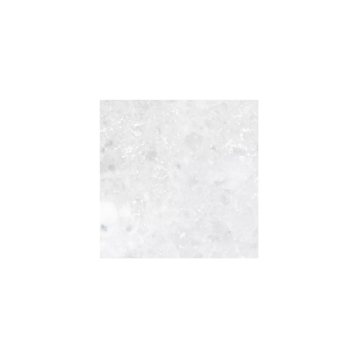 Sample Natursteentegels Marmer Treviso Wit 30,5x30,5cm