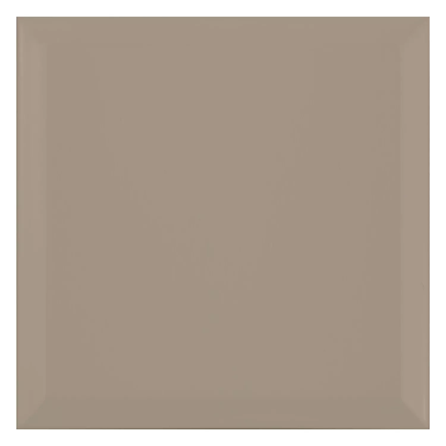 Metro tegel Bruin Mat 20x20 cm Met Facet Freetown Mink