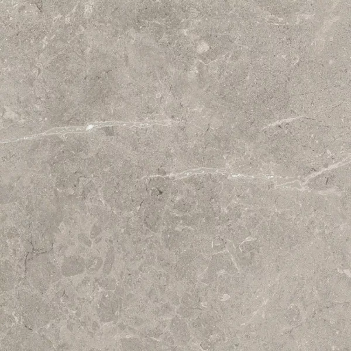 Terrastegels Porselein steengoed Arizona 60x60x2 cm