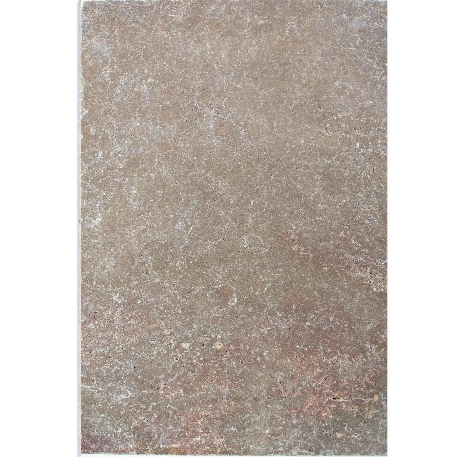 Natursteentegels Travertin Patara Noce 40,6x61cm