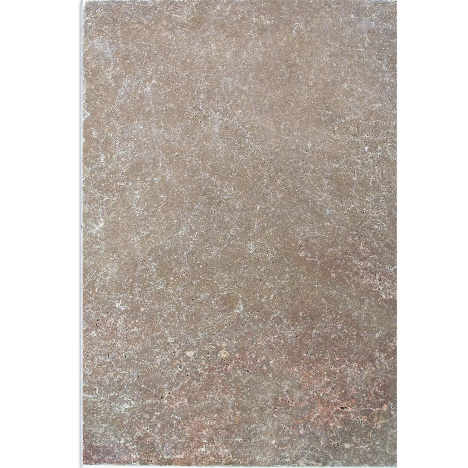 Natursteentegels Travertin Patara Noce 40,6x61cm Natursteentegels Travertin Patara Noce 40,6x61cm