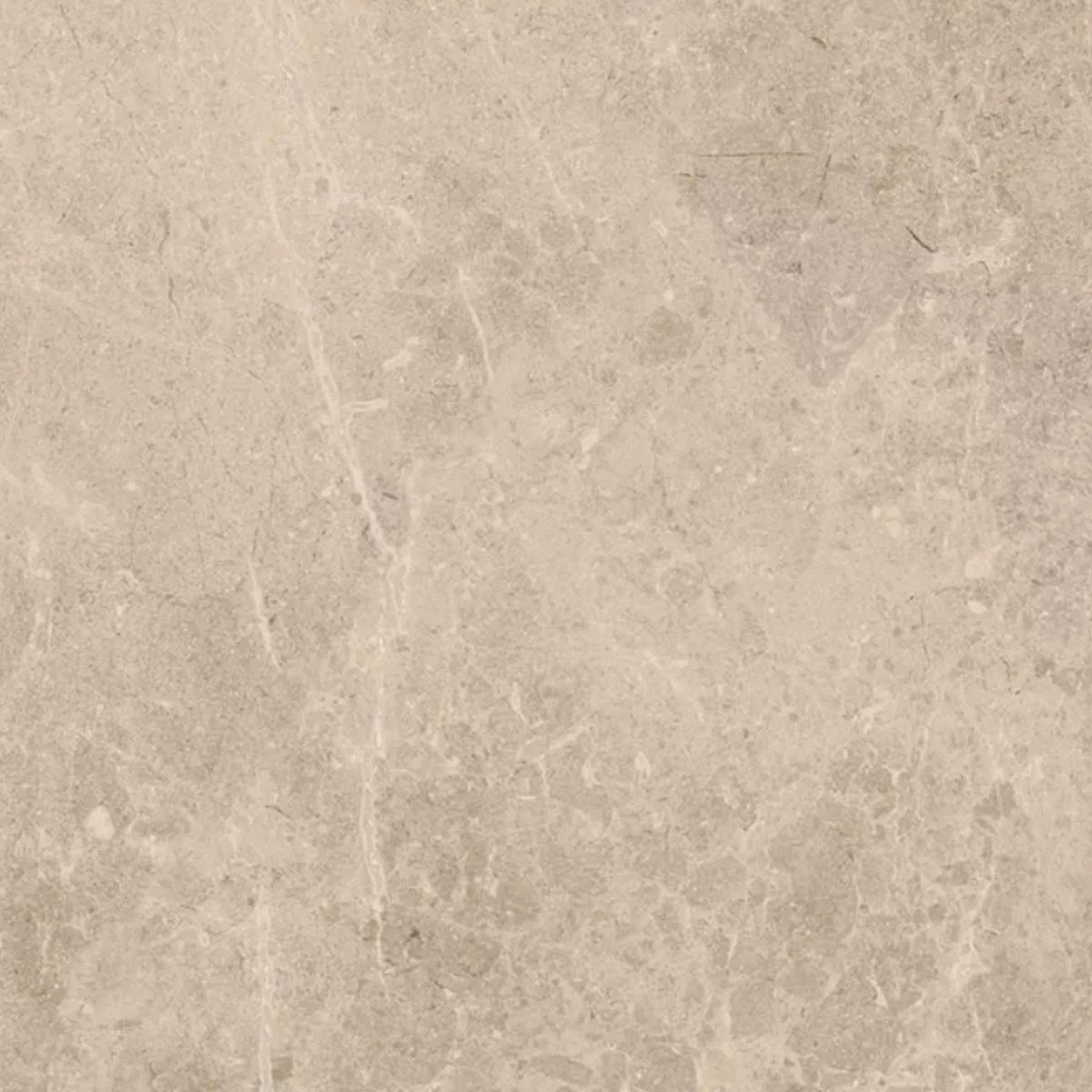 Terrastegels Porselein steengoed Arizona Beige 60x60x2 cm