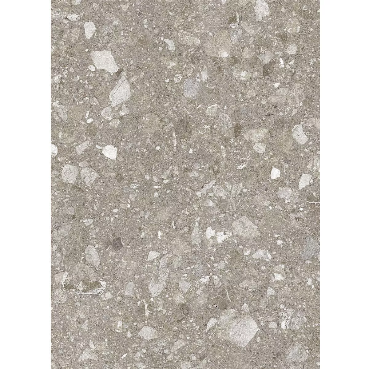 Vloertegels Porselein steengoed Lugano Grijs 60x120 cm Vloertegels Porselein steengoed Lugano Grijs 60x120 cm