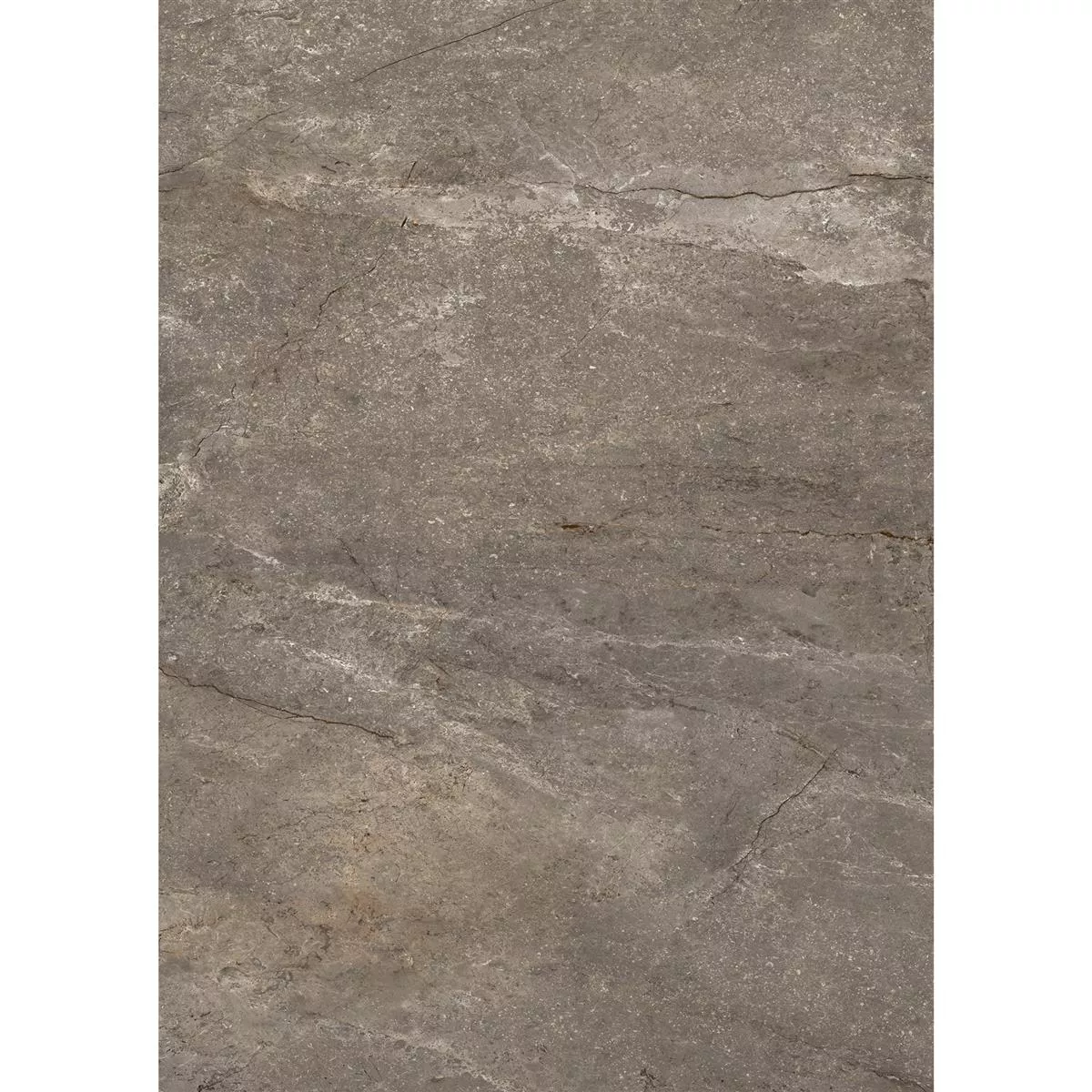 Vloertegels Pangea Marmerlook Mat Mokka 60x120cm