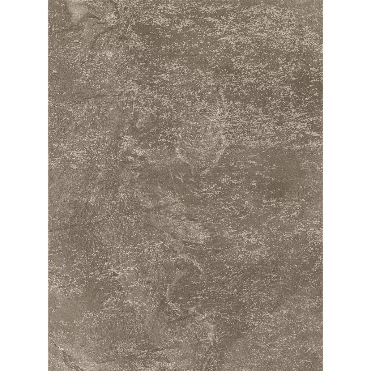 Vloertegels Hemingway Lappato Bruin 60x120cm Vloertegels Hemingway Lappato Bruin 60x120cm
