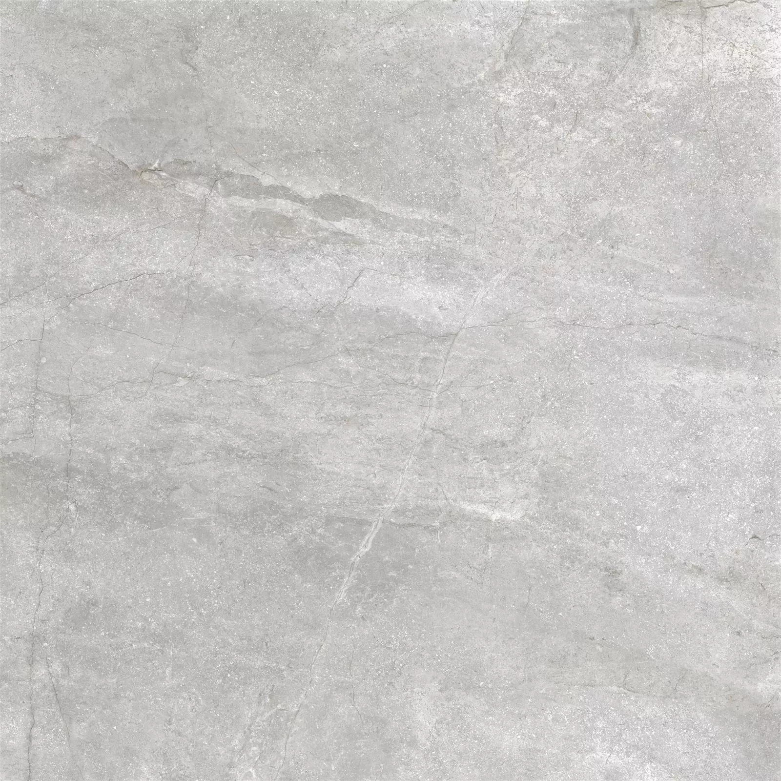 Vloertegels Noiron Mat Glanzend Zilver 60x60cm Vloertegels Noiron Mat Glanzend Zilver 60x60cm