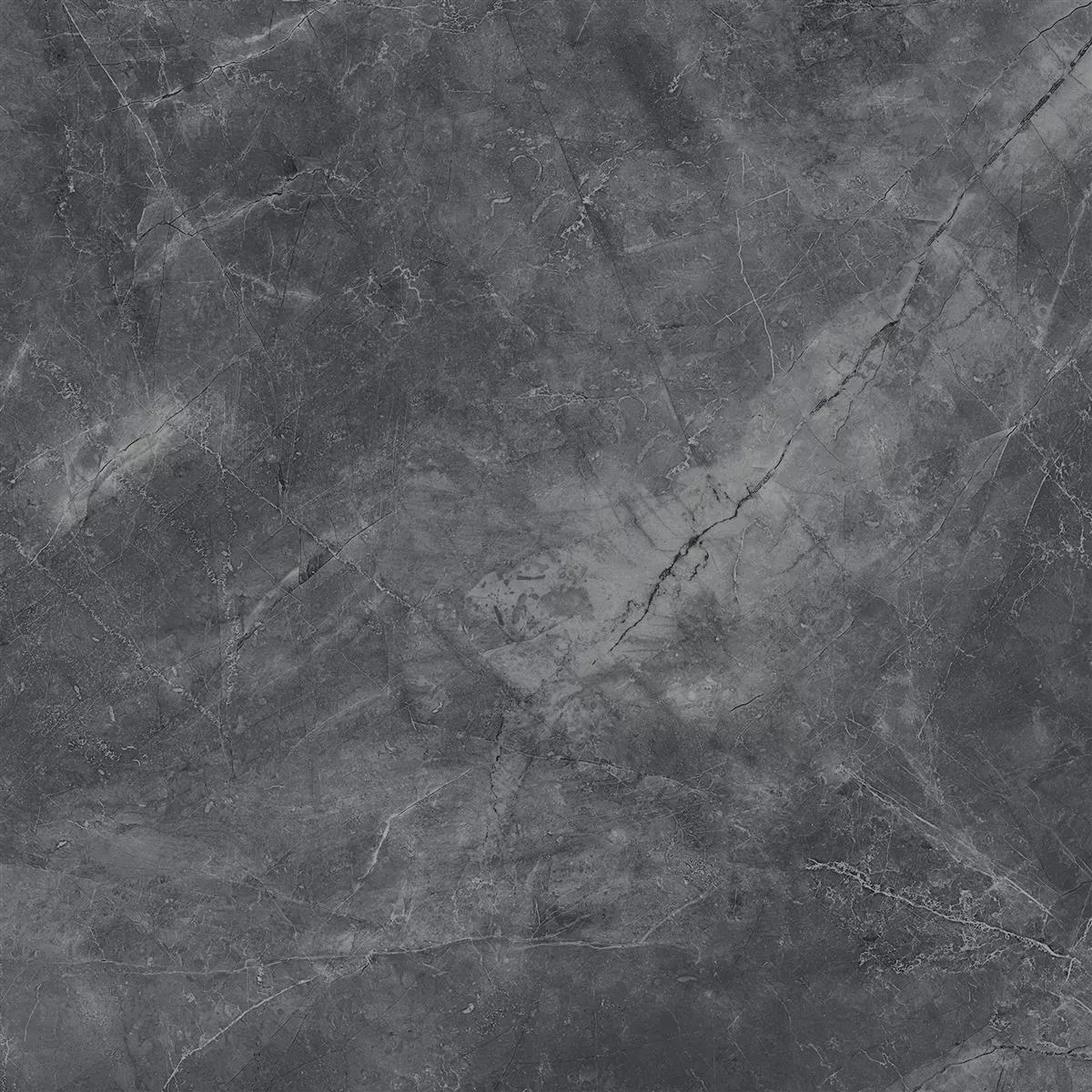 Angola Glanzend Zwart 60x60 cm