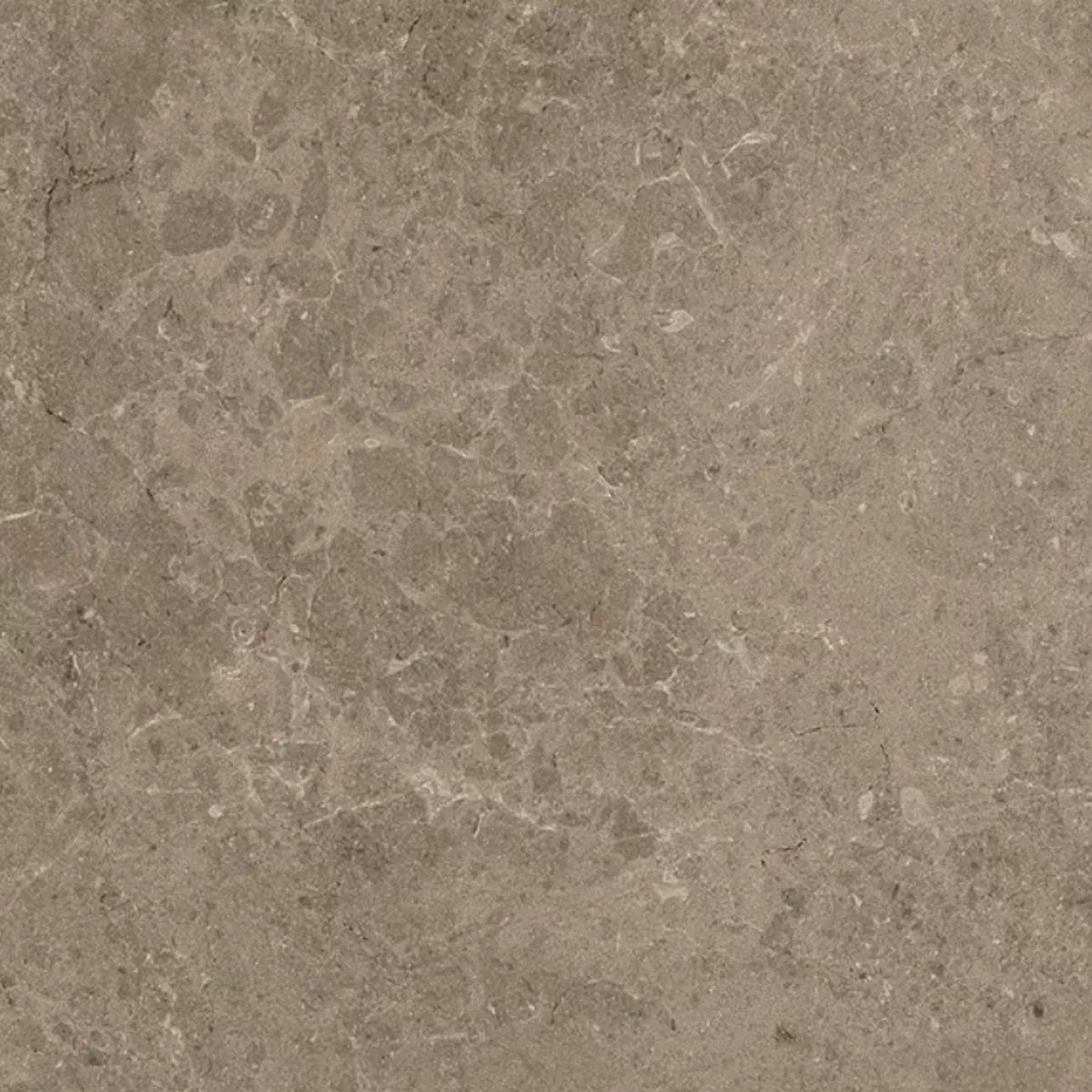 Terrastegels Porselein steengoed Arizona Taupe 60x60x2 cm