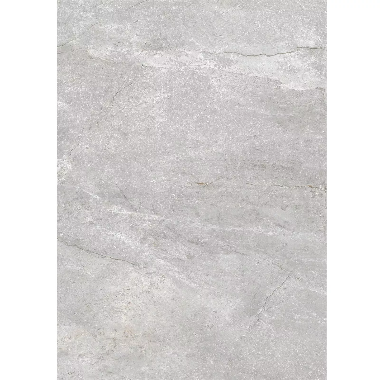 Vloertegels Noiron Mat Glanzend Zilver 60x120cm Vloertegels Noiron Mat Glanzend Zilver 60x120cm