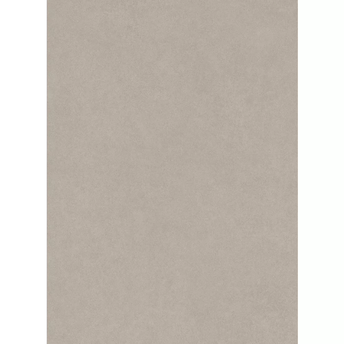 Kolossal Lichtgrijs 60x120 cm 