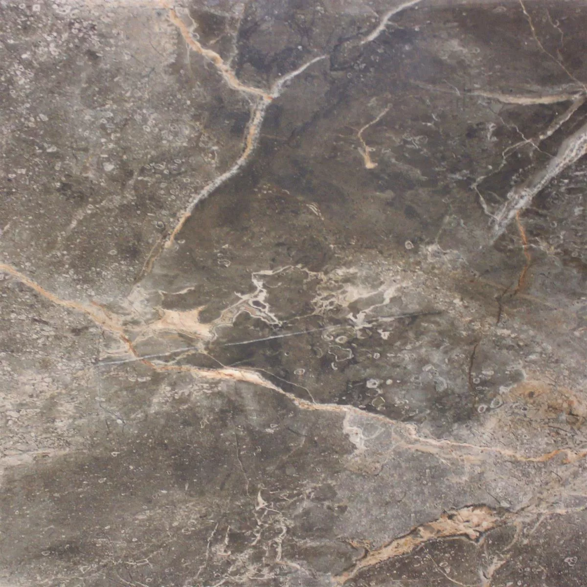 Vloertegels Marmerlook Himalaya Bruin Glanzend 60x60cm Vloertegels Marmerlook Himalaya Bruin Glanzend 60x60cm