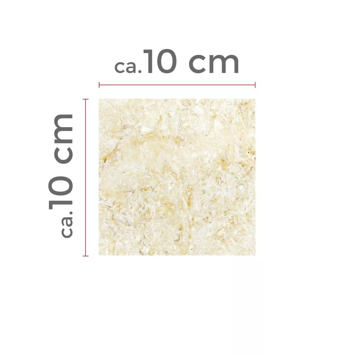 Sample Natursteentegels Kalksteen Garbagna Beige 10x10cm