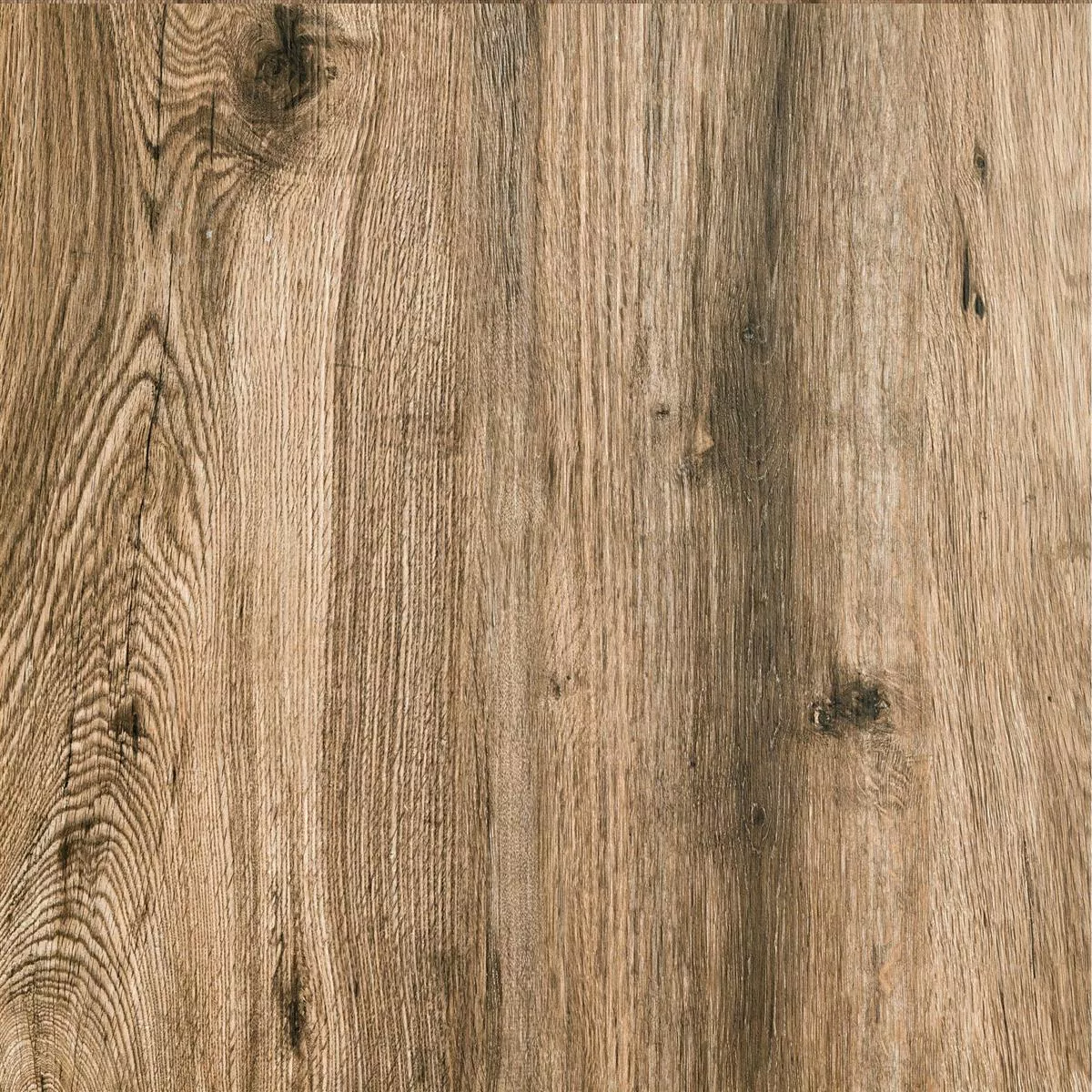 Sample Terrastegels Starwood Houtlook Oak 60x60cm