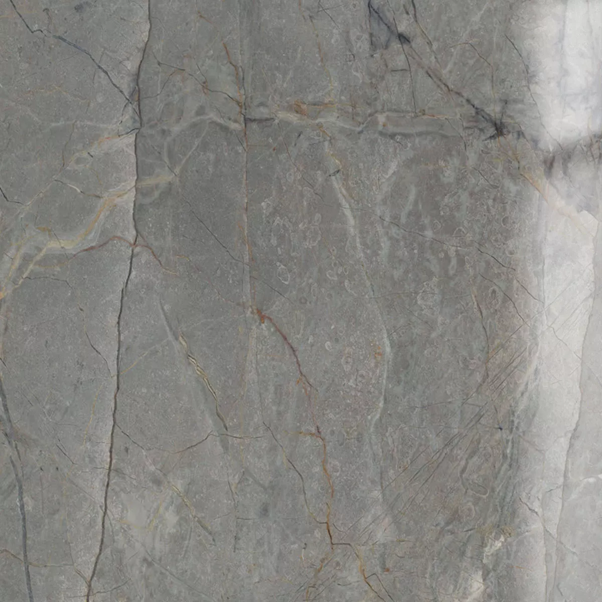 Vloertegels Ancona Marmerlook Grijs Glanzend Glanzend 60x60cm Vloertegels Ancona Marmerlook Grijs Glanzend Glanzend 60x60cm