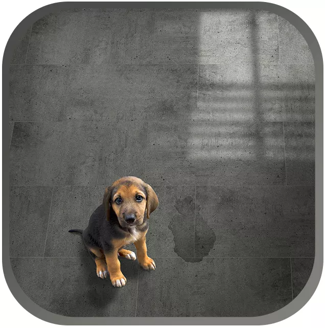 Vloertegels Onverglaasd Vloertegels Onverglaasd