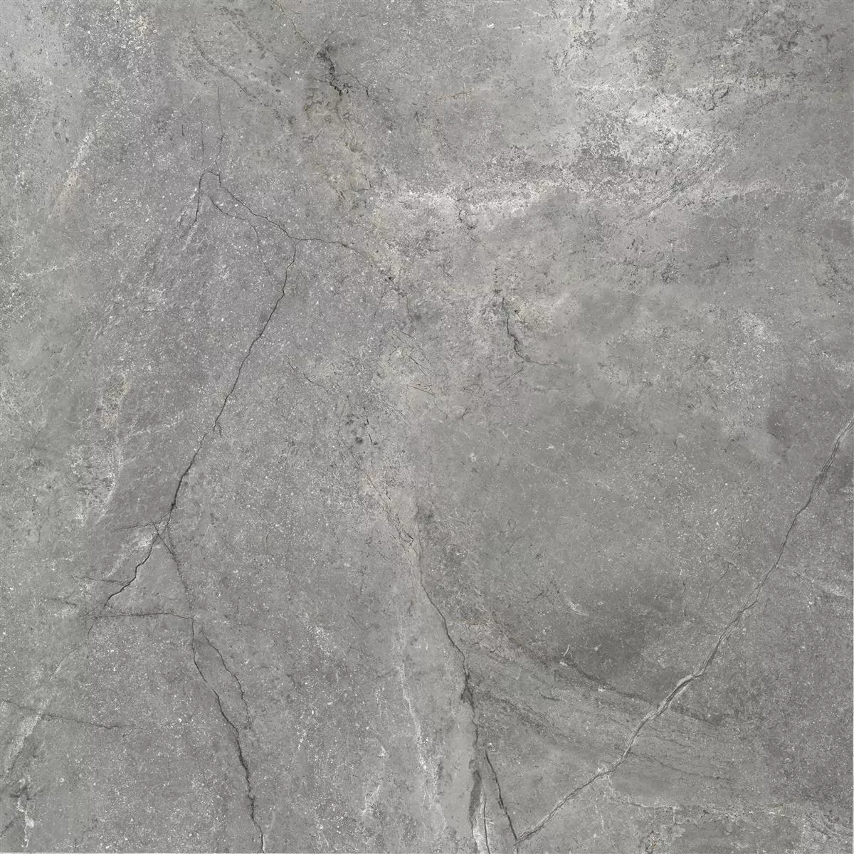 Vloertegels Pangea Marmerlook Glanzend Grijs 120x120cm