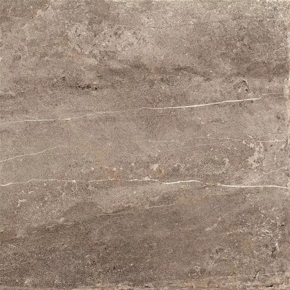 Sample Vloertegels Detmold Natuursteen Optiek 60x60cm Bruin