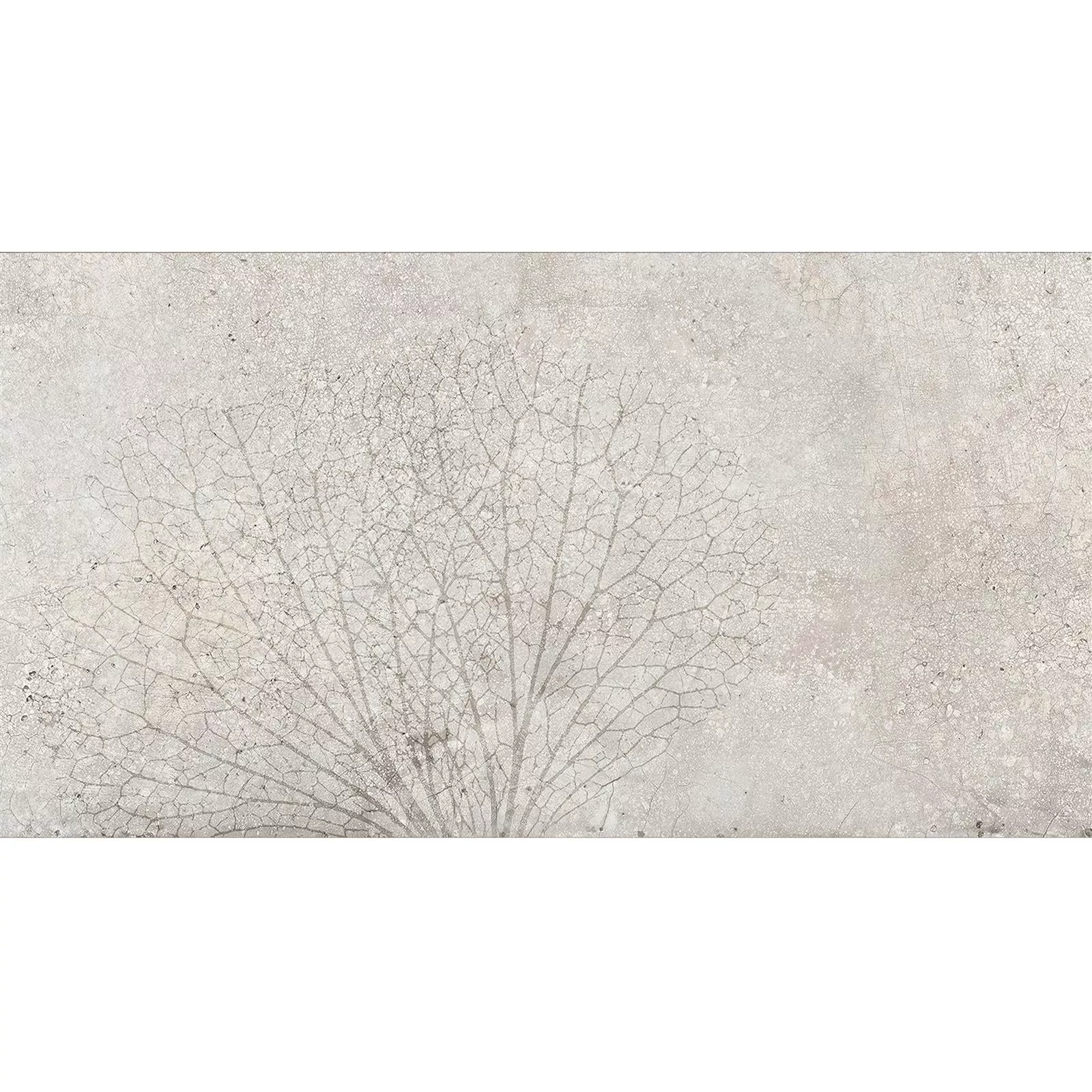 Wandtegels Attila Grijs Gerectificeerd Decor 1 30x60cm Wandtegels Attila Grijs Gerectificeerd Decor 1 30x60cm