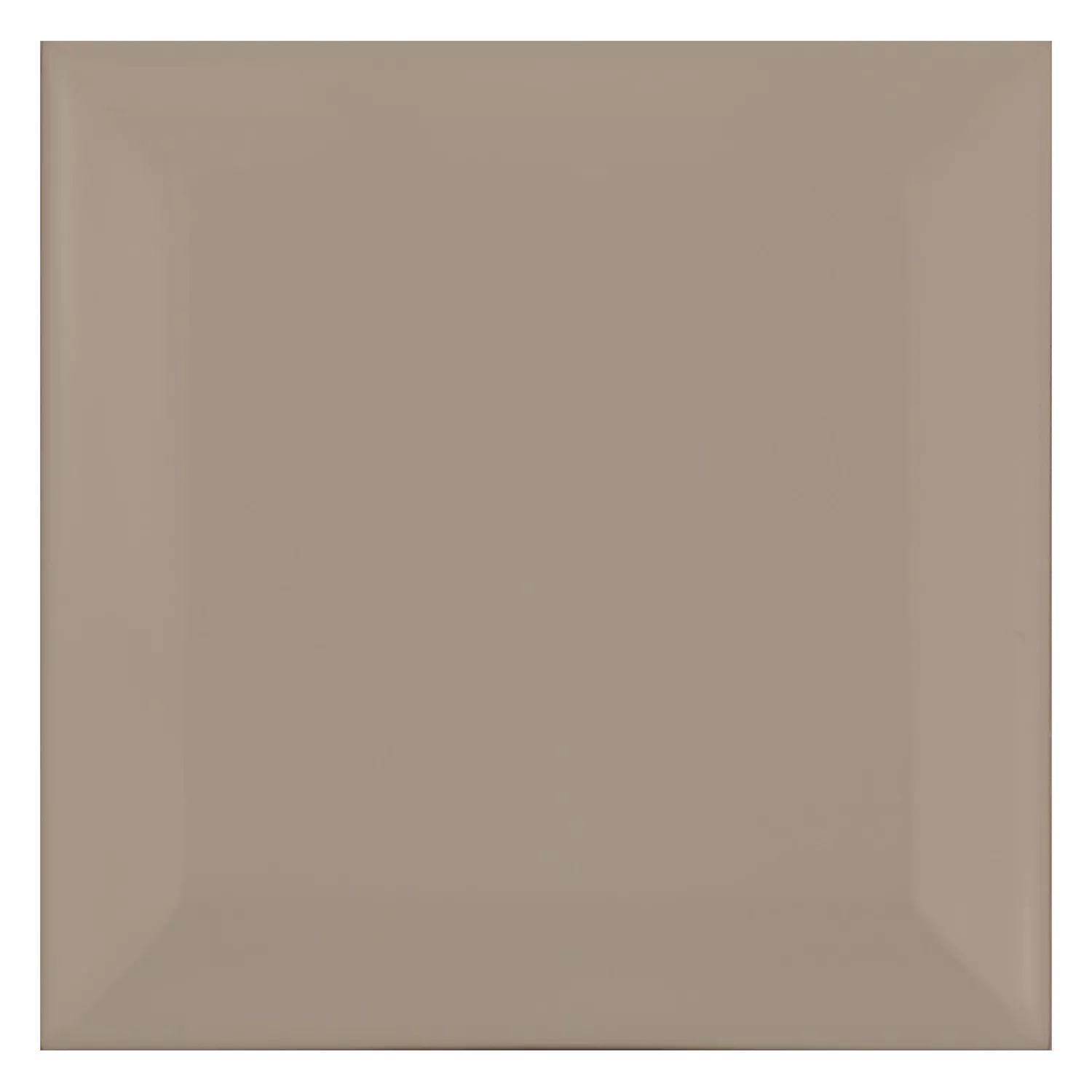 Metro tegel Bruin Mat 10x10 cm Met Facet Catarina Mink