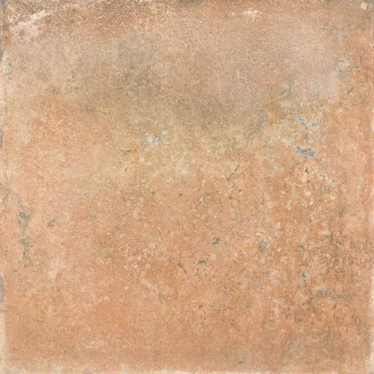 Queens Terracotta Bruin 25x25 cm