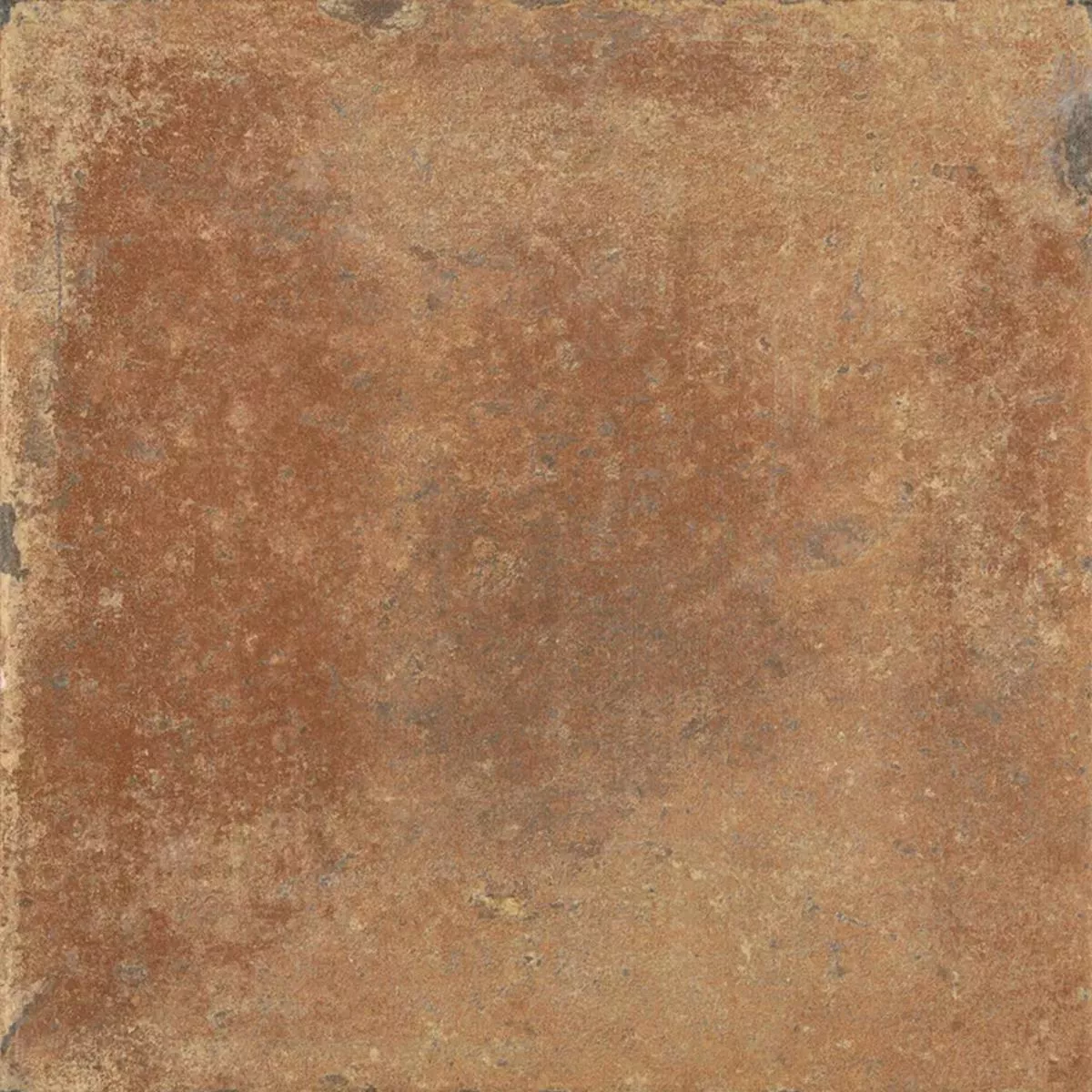 Queens Terracotta Donkerbruin 25x25 cm